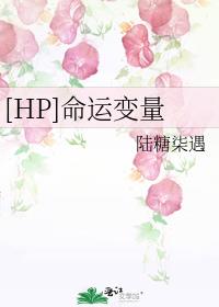 [HP]命运变量