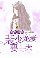 重生暖婚，裴少宠妻要上天