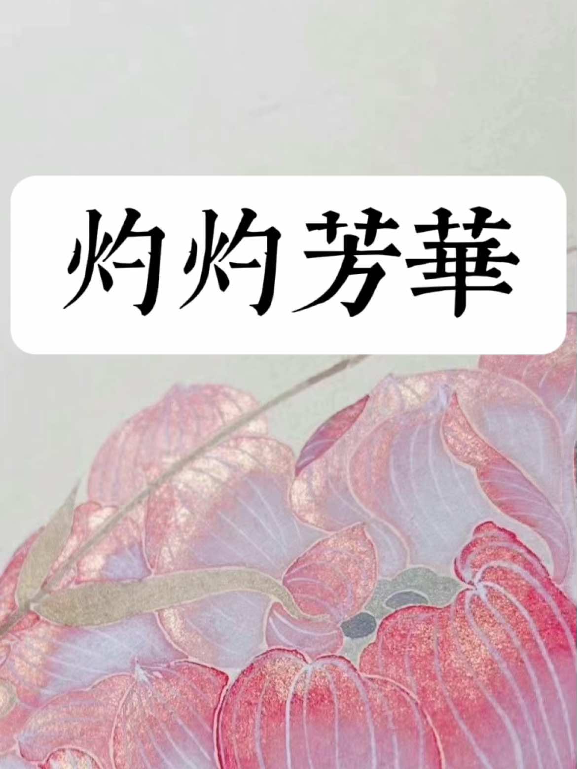 【战山为王】重生之灼灼芳华