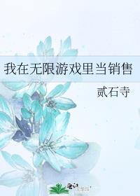 我在无限游戏里当销售