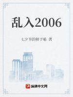 乱入2006