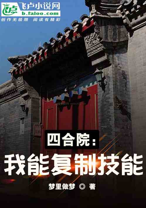 四合院：我能复制技能