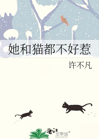 她和猫都不好惹