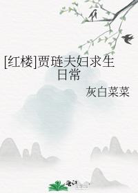 [红楼]贾琏夫妇求生日常