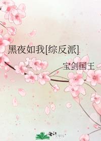 黑夜如我[综反派]