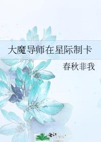 大魔导师在星际制卡