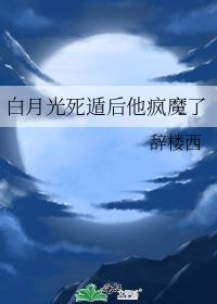 白月光死遁后他疯魔了