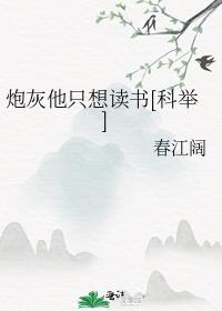 炮灰他只想读书[科举]