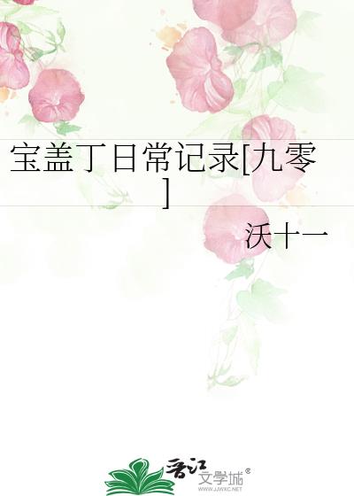 宝盖丁日常记录[九零]