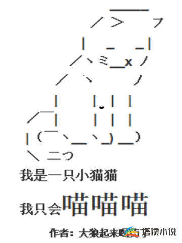 我是一只小猫猫我只会喵喵喵