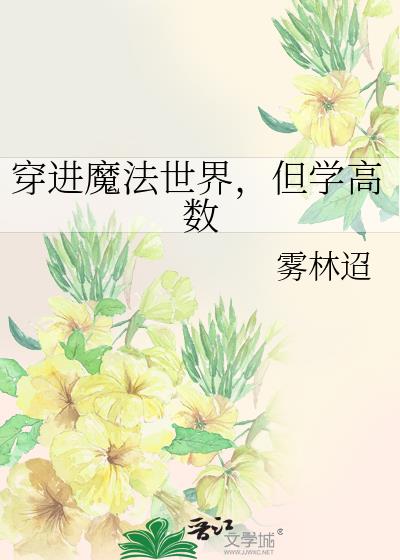 穿进魔法世界，但学高数