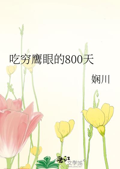 吃穷鹰眼的800天