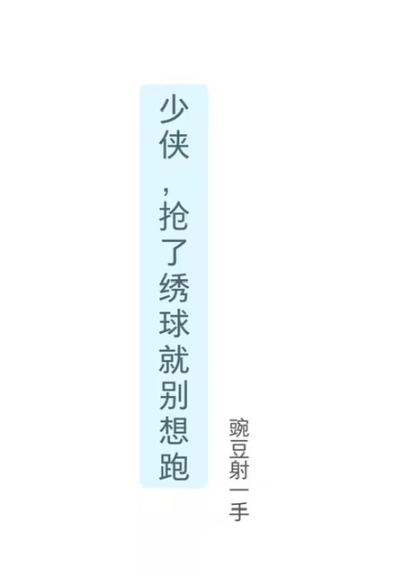 少侠，抢了绣球就别想跑