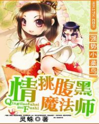 强势小菜鸟：情挑腹黑魔法师