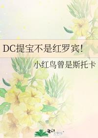 DC提宝不是红罗宾！