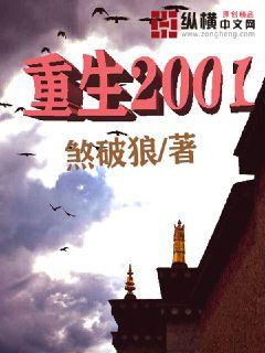 重生2001